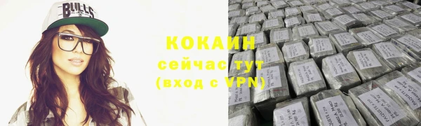 мдпв Тавда